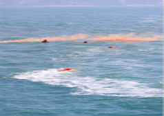 惠州大亚湾海域举行海上搜救应急综合演习